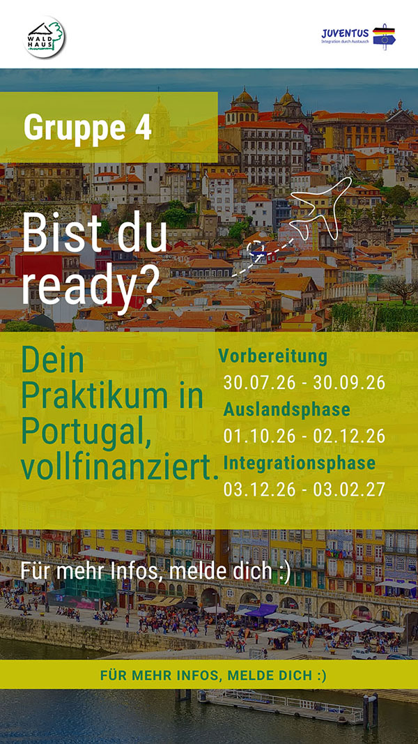 Flyer zu Camino, Gruppe 4 mit Daten