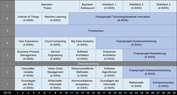 Darstellung des Studiengangs Digital Business (Bachelor)