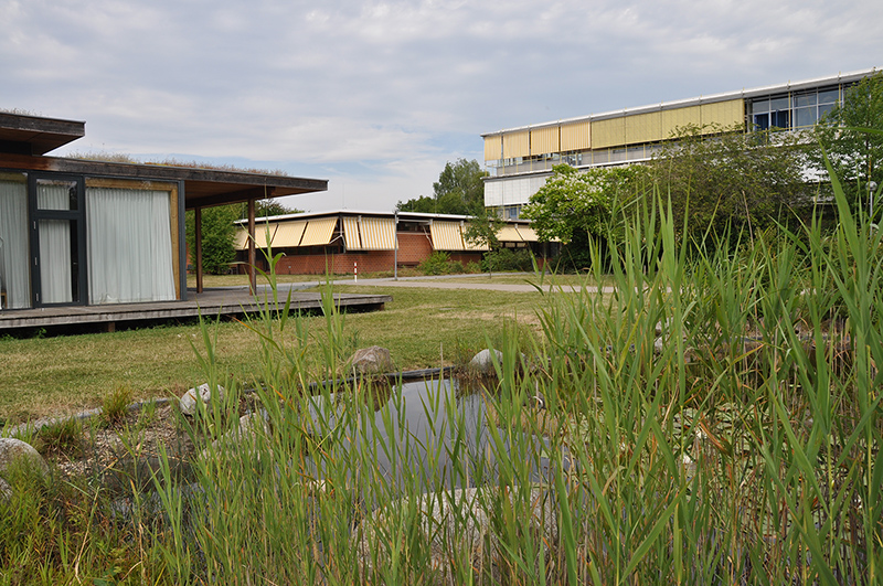 Bild der Hilde-Domin-Schule von aussen